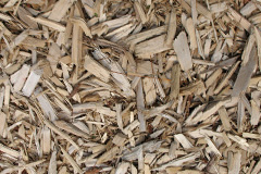 biomass boilers Wood Row